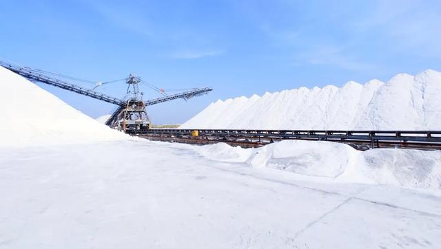 原盐价格疯涨，发生了什么？