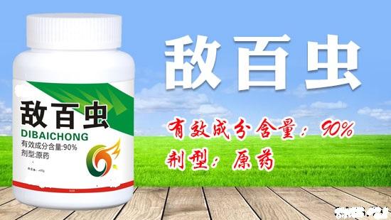 这些情况到底用敌百虫还是敌杀死？哪个效果好？敌杀死如何使用？