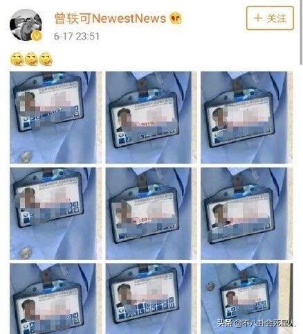 狮子座的歌词