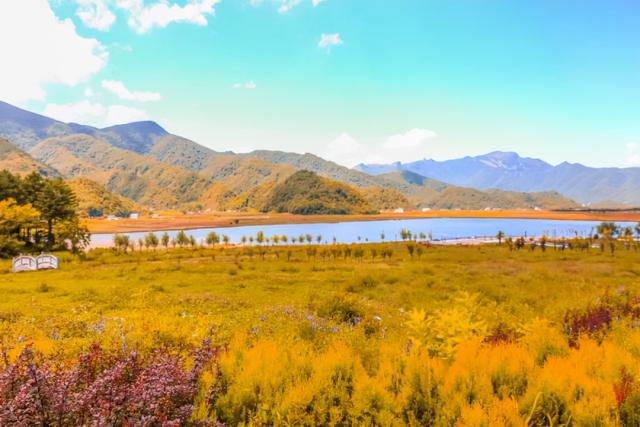 养生，秋季饮食需要注意什么？