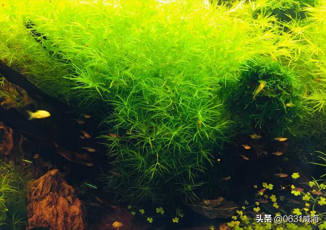 卖过滤机视频