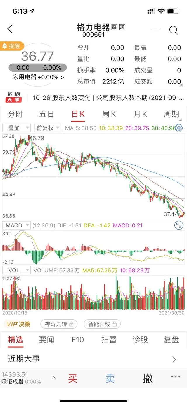 格力电器-一个饱和行业与董小姐的成败