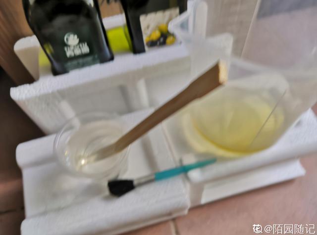 家里的花招了蚧壳虫，橄榄油加洗洁精，给花喷点效果好9