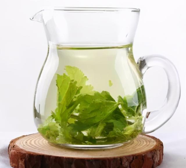 秋季润肺话桑叶