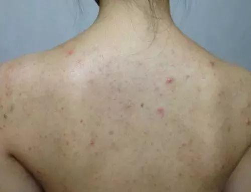 王子文推荐的身体乳