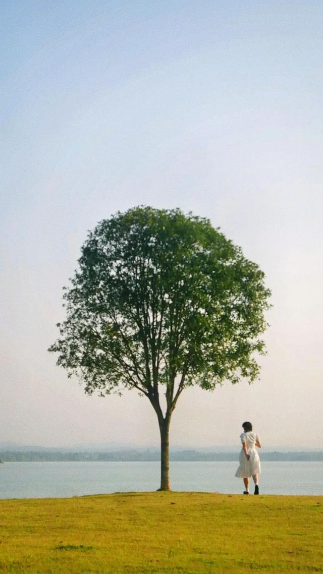影片剧照