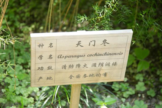 抗衰老的中药（三十四）