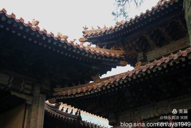 最好的教育是与孩子一起做她喜欢的事情