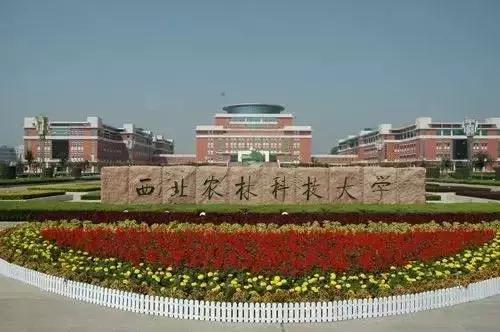 关于威龙9000综合破碎机公司的信息