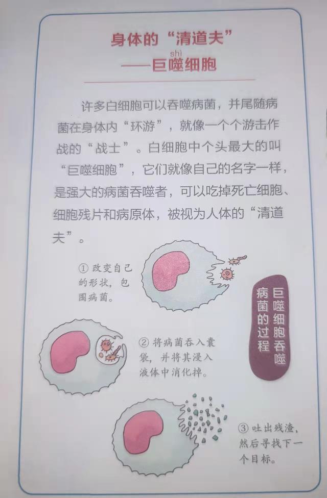 “妈妈，为什么我们会生病？”23张图给孩子解释：我们的身体