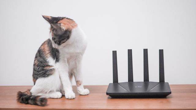 为刷机而生，首款支持原生Openwrt的WIFI 6路由——GL-AX1800体验