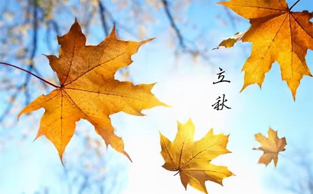 秋季养生“只养肺”？那你就错了，医生教你秋季如何健康养生