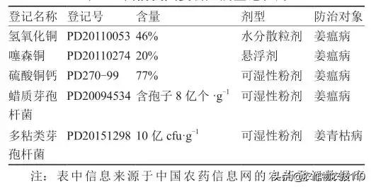 姜腐烂病切忌乱用药！这样做才能选对药、用对药2