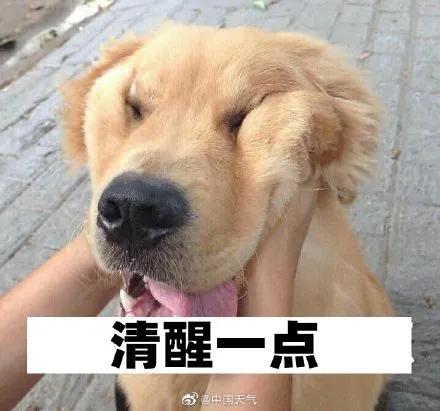 阳江双螺旋洗砂机厂家