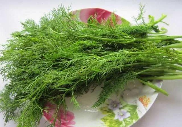 濕氣就怕這個菜 三天兩頭吃 滋補又美味 濕氣消失 想瘦並不難 中國熱點