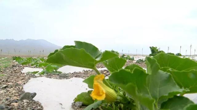 景泰压滤机配件电话