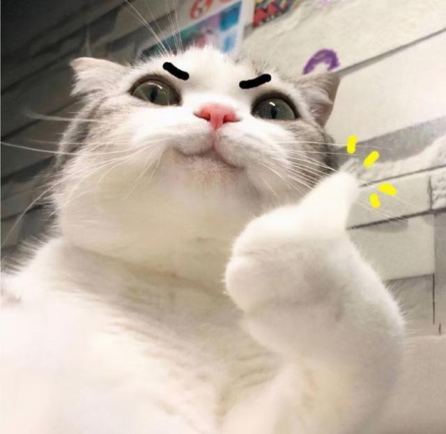 看到这波更新，我再也不想用QQ了