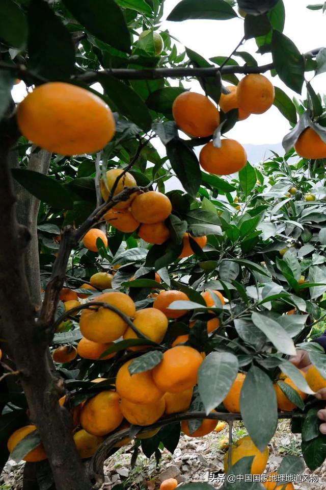 定西数控制砂机