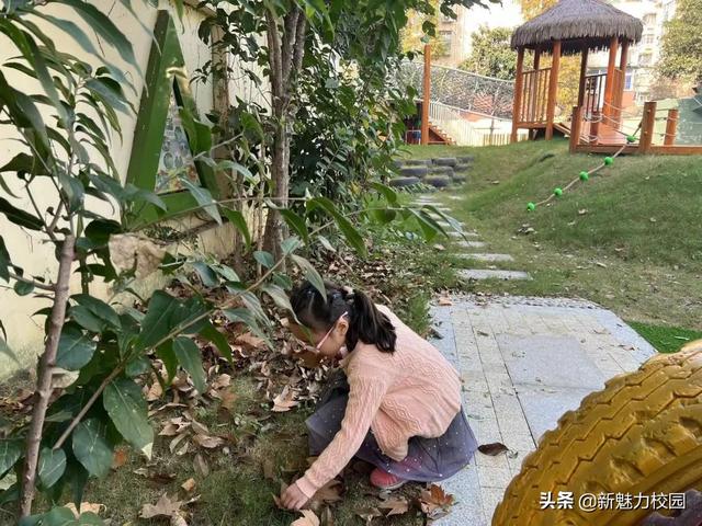 「班级风采」落叶知秋