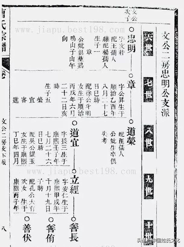 家谱怎么写