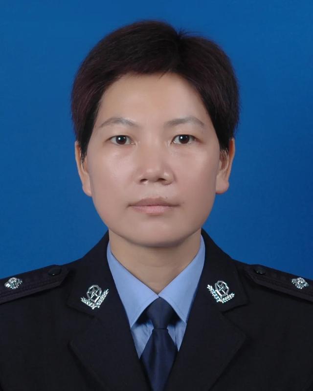 展明高级工程师