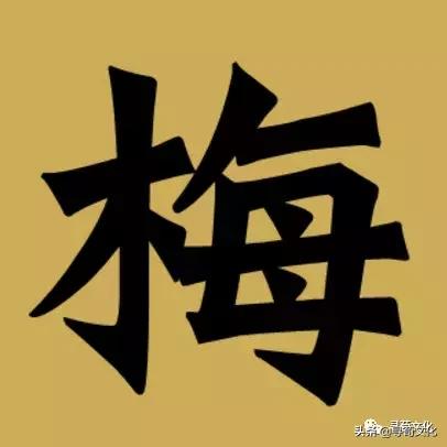 梅的拼音