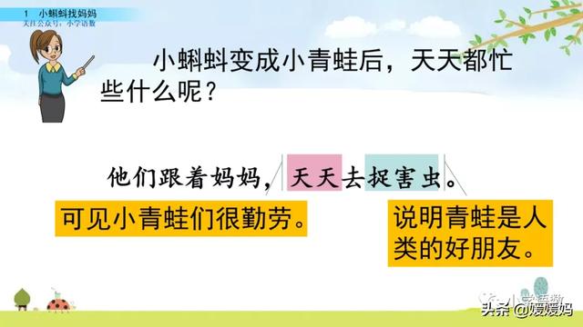 小蝌蚪先长前腿还是后腿