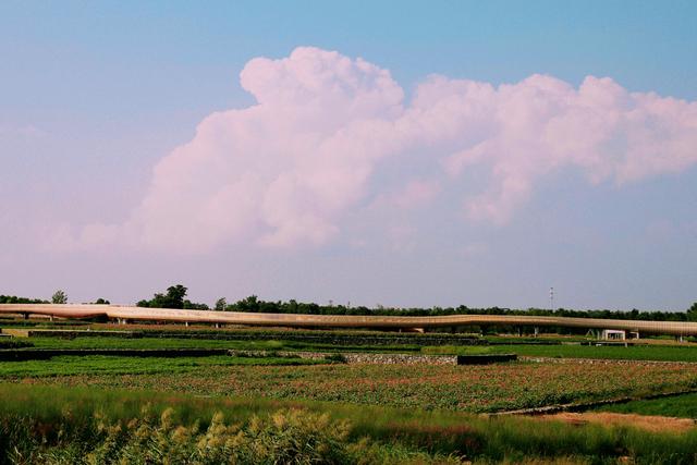 把这4省的经济第一名，放在江苏省内能排第几？泉州无法挤入前3