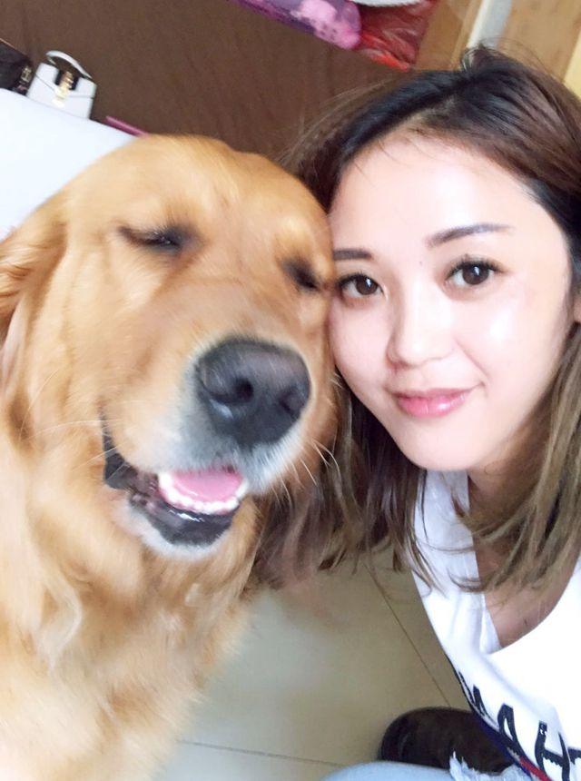 金毛犬的喂养