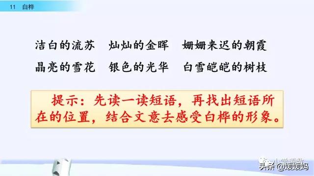 茸的四字词语，四年级下册语文第11课白桦的课件？