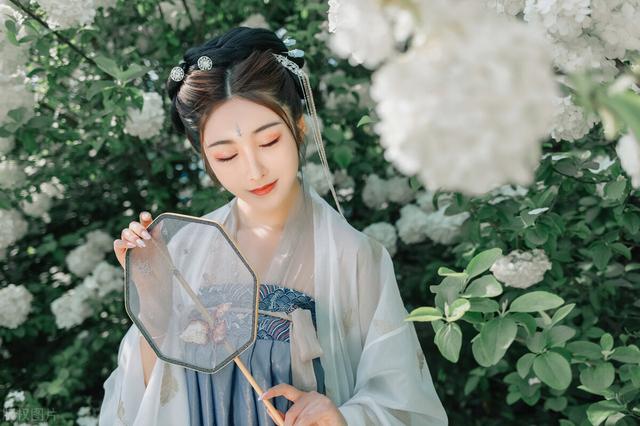 小说内当家(小说内当家简介)