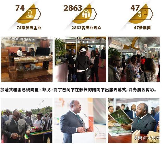 3月15日广州木工机械展