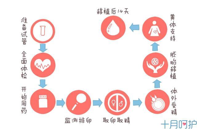 试管婴儿和普通婴儿真的有区别吗？答案令很多人“失望”了