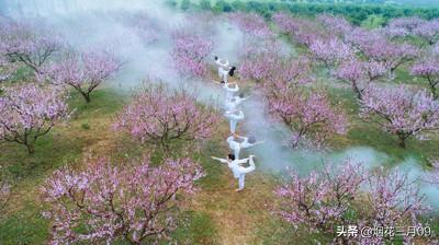 《桃花溪》：“草圣”张旭，疯癫人生背后也有一个心中的桃花源