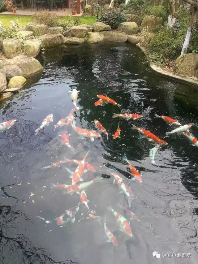 贵港转鼓式真空过滤机