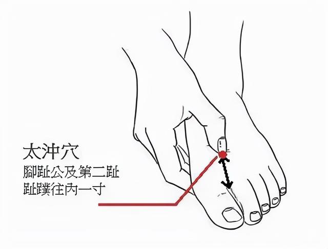 九种体质你到底属于哪一种，又该怎样调理？中医陈莹告诉您