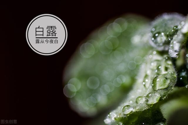 白露养生吃“三宝”，滋阴润燥，秋冬疾病绕着走