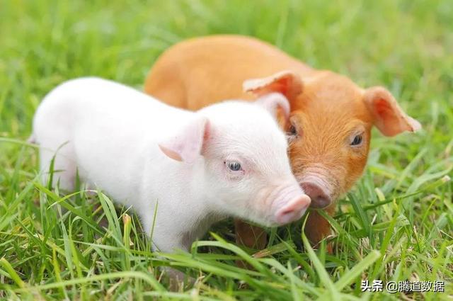 今日资讯 | 惊！俄罗斯全国大放假、人民币贬值、世界饥饿危机等