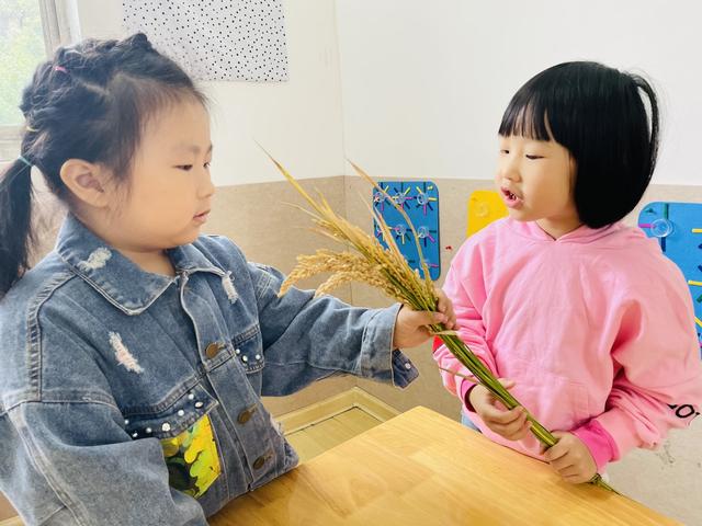 织里镇织北幼儿园：爱粮节粮 传承美德