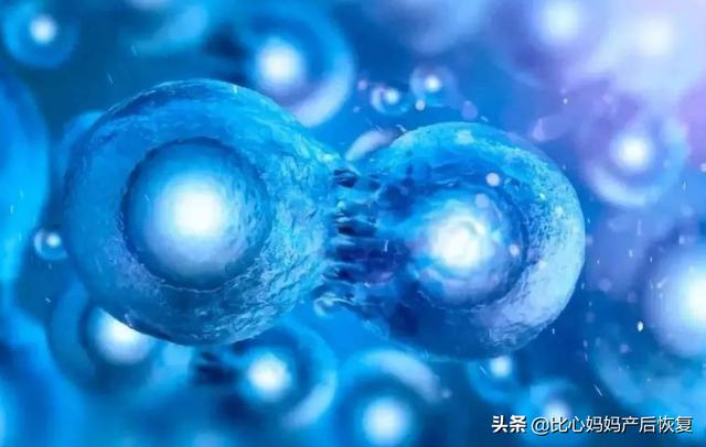 怀孕期间，不仅是妈妈单方面保护孕育宝宝，宝宝也在保护着妈妈哦