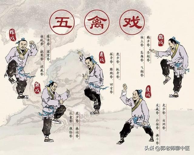 养生气功五禽戏教学（仙家秘传五禽戏：健康长寿）