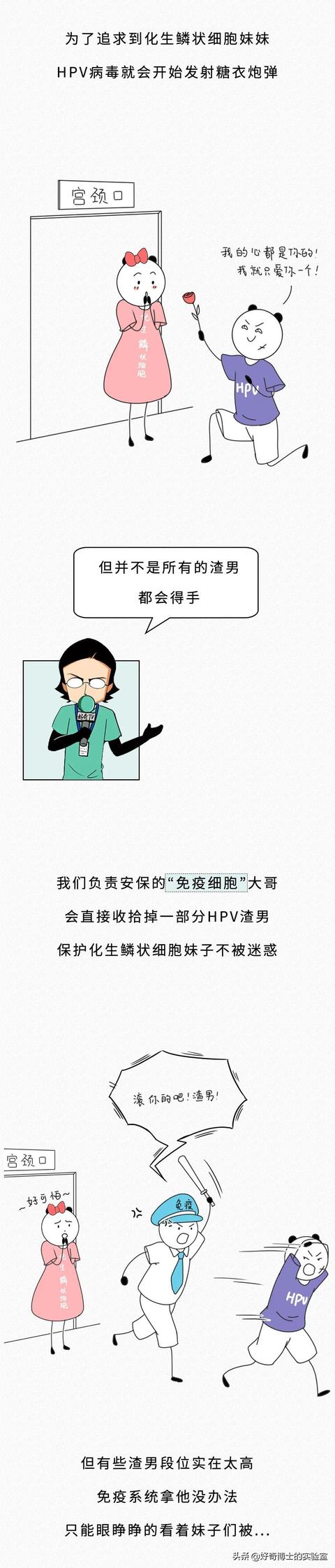 女生说科科是什么意思