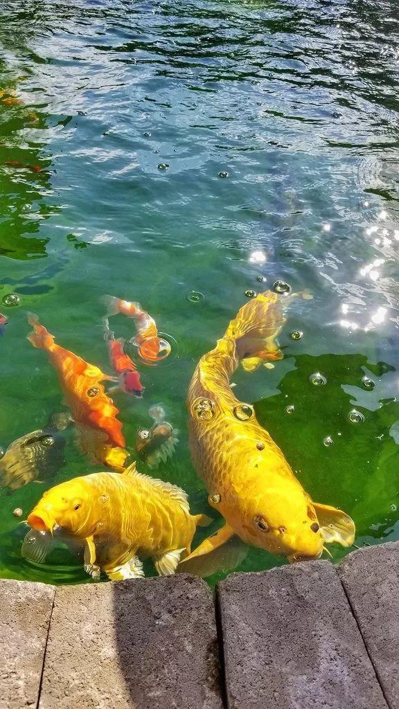过滤机喷嘴