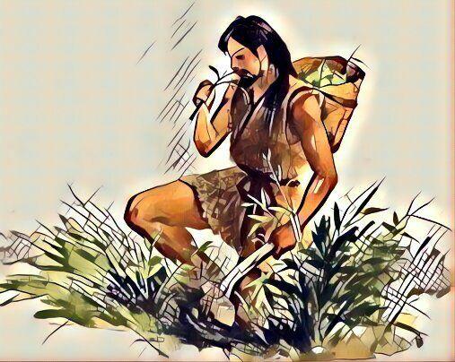 枸杞的有效成分有哪些？怎么吃效果更好？