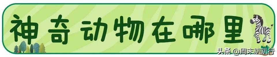 亲子打卡！科学探索，细菌好有趣啊，参观1000+件标本