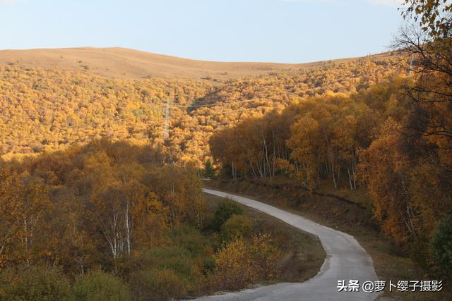 一路向北草原自駕行4：柳樹溝