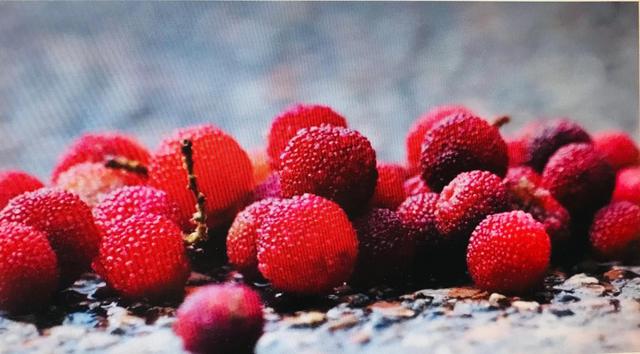 小心！这5种水果藏满寄生虫 开水都杀不死