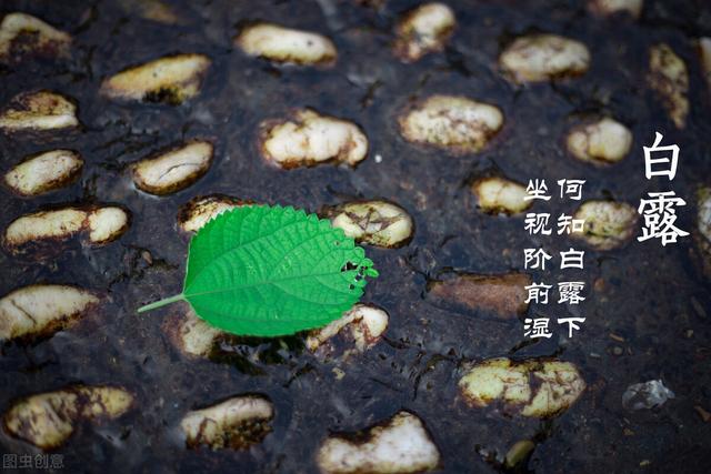 2021年不一般，八月初一恰逢白露节，吃六食忌五事，入秋身体好