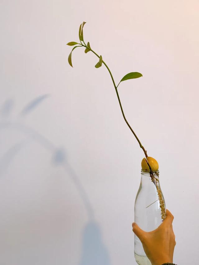 影片剧照