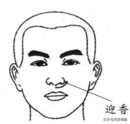 肺与秋气相应！中医专家送你5个养阴护肺小妙招